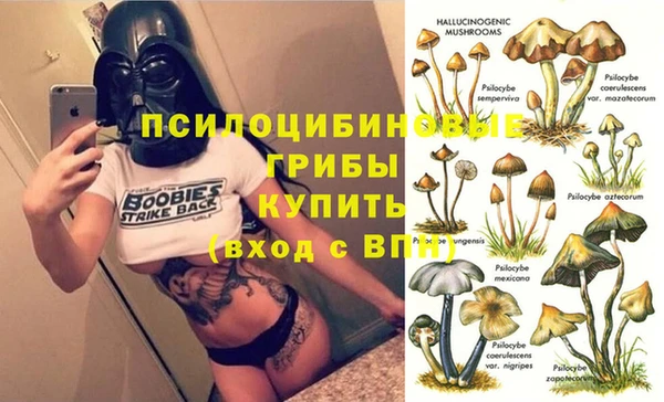 а пвп мука Алексин