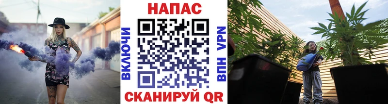 Каннабис индика  закладки  Энем 